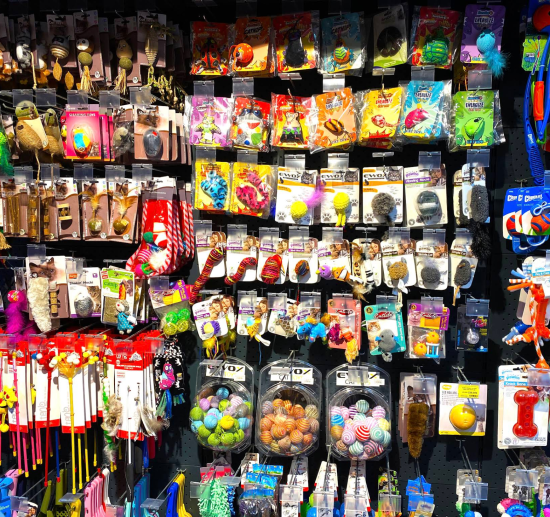 Petkatalog Esenyurt Petshop mağaza fotoğrafı 3