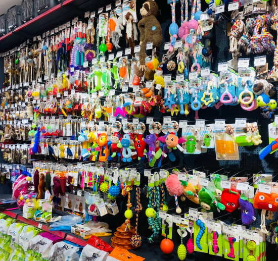Petkatalog Beylikdüzü Petshop mağaza fotoğrafı 8
