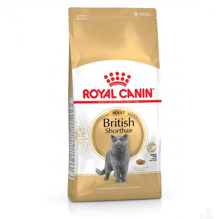 Royal Canin British Shorthair Kedi Maması 4 kg