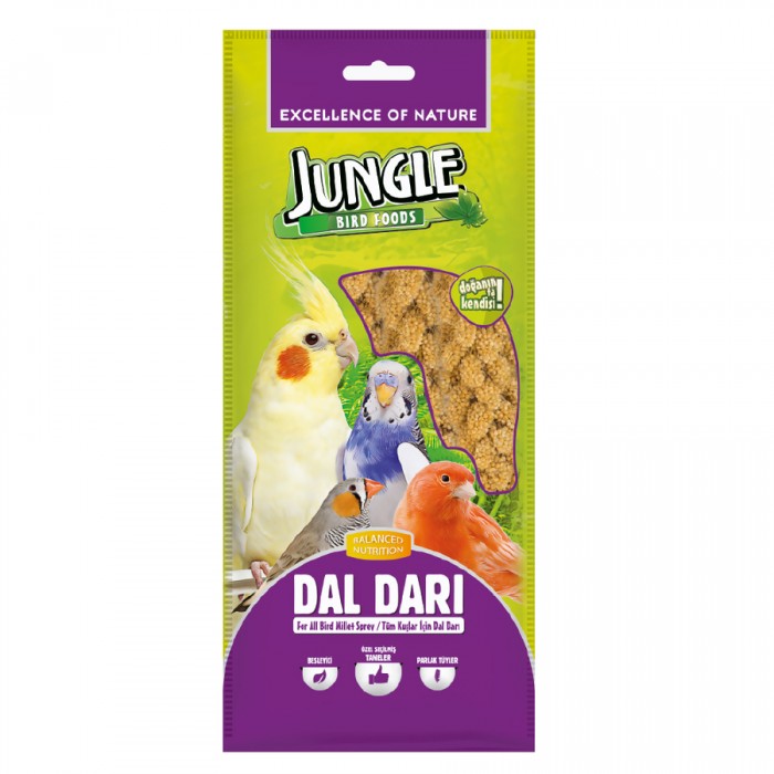 Jungle Doğal Dal Darı 5 li Paket