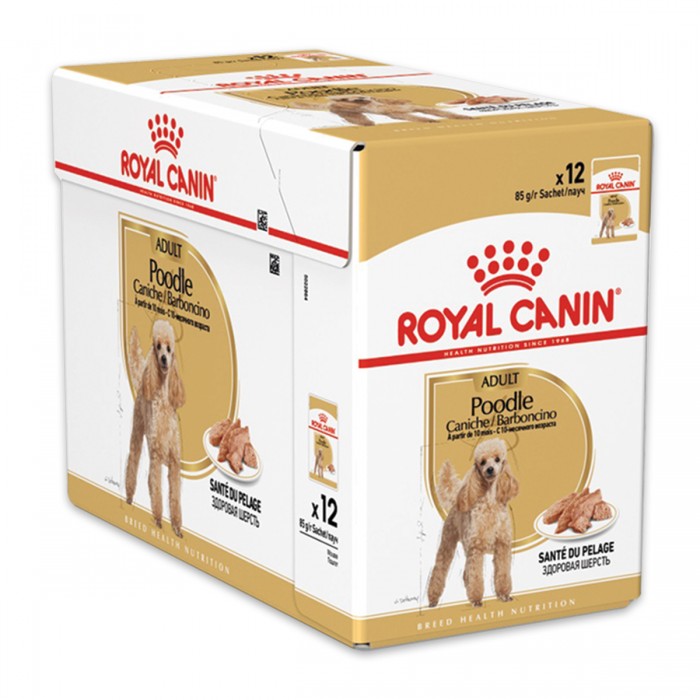 Royal Canin Poodle Pouch Yetişkin Köpek Yaş Maması 85gr 12'li Paket