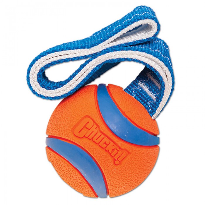 ChuckIt! Ultra Tug At-Getir Köpek Çekiştirme Topu (5 cm - Small)