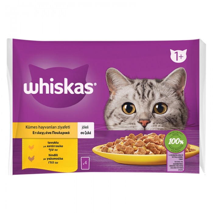 Whiskas Pouch Jöle İçinde Tavuklu ve Hindili Yetişkin Kedi Konservesi 85gr (4'lü)