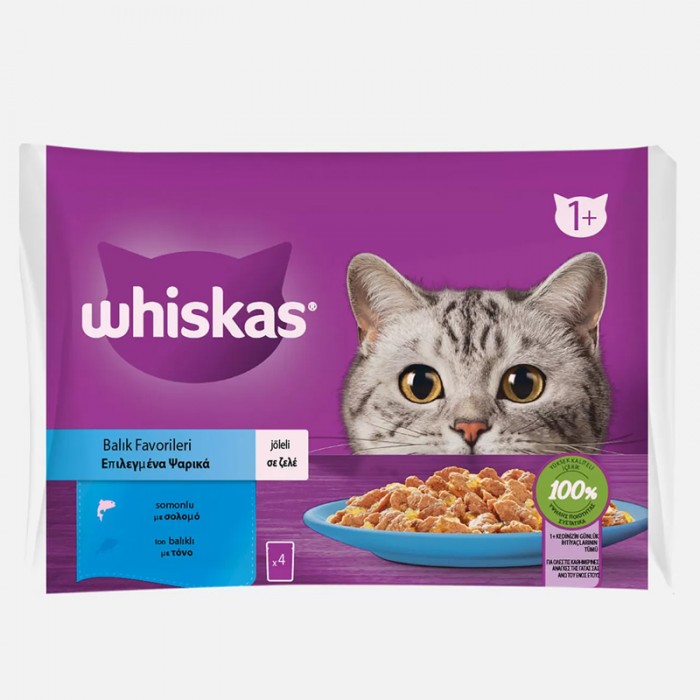 Whiskas Pouch Jöle İçinde Somonlu ve Ton Balıklı Yetişkin Kedi Konservesi 85gr (4'lü)