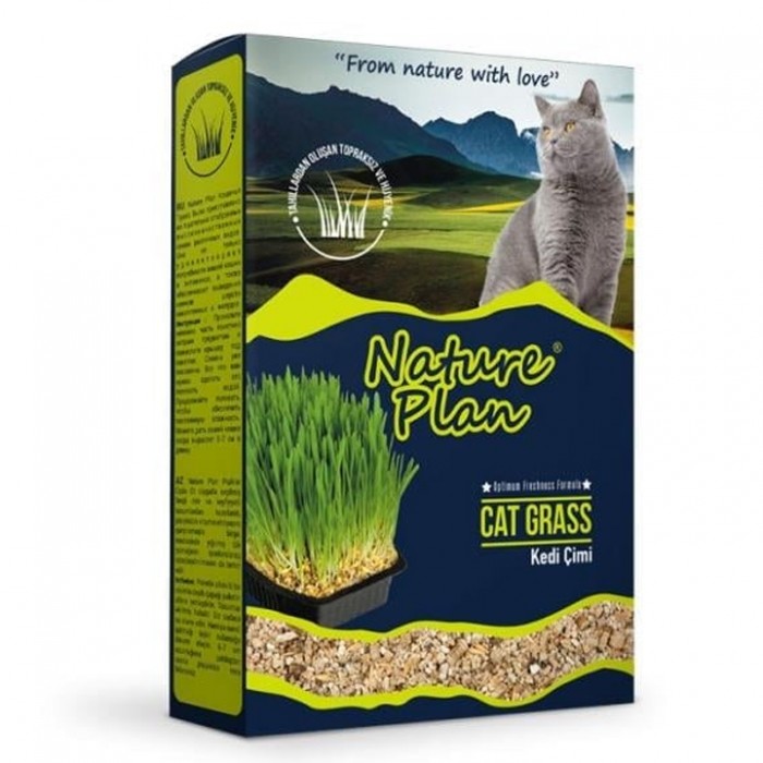 NaturePlan Kedi Çimi 500ml