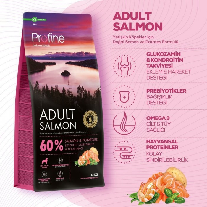 Profine Salmon Glutensiz Somonlu Yetişkin Köpek Maması 12 Kg