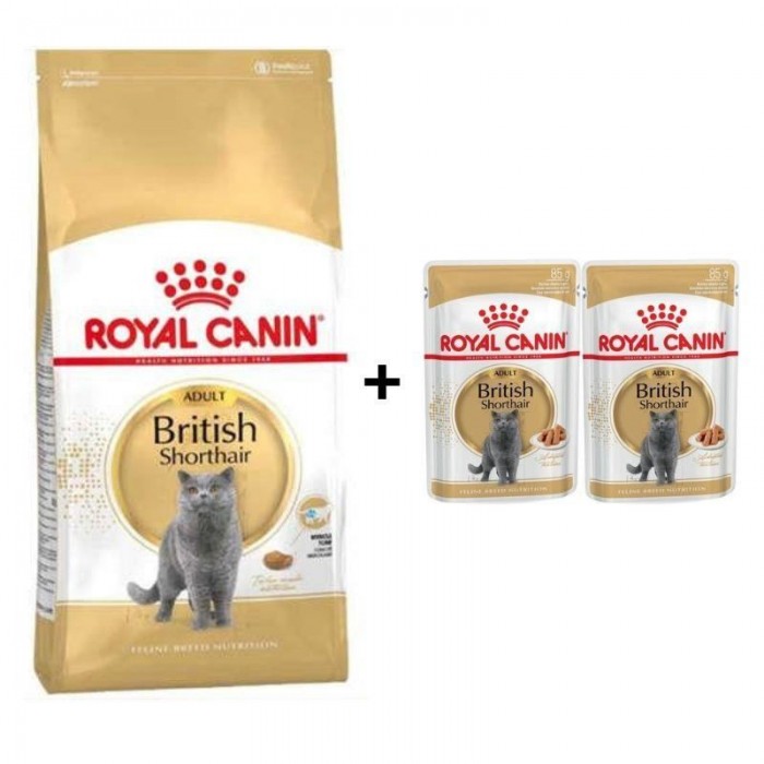 Royal Canin British Shorthair Yetişkin Kedi Maması 4 Kg + 2 Adet Yaş Mama Hediye