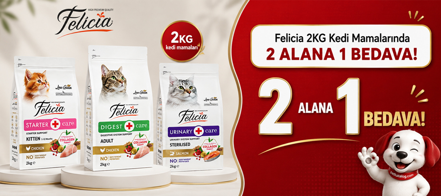 Felicia 2 KG Kedi Mamaları 2 Alana 1 Bedava!