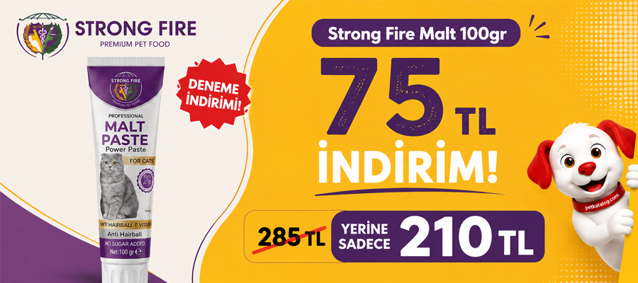 Strong Fire Kedi Maltları 75TL Deneme İndirimli!