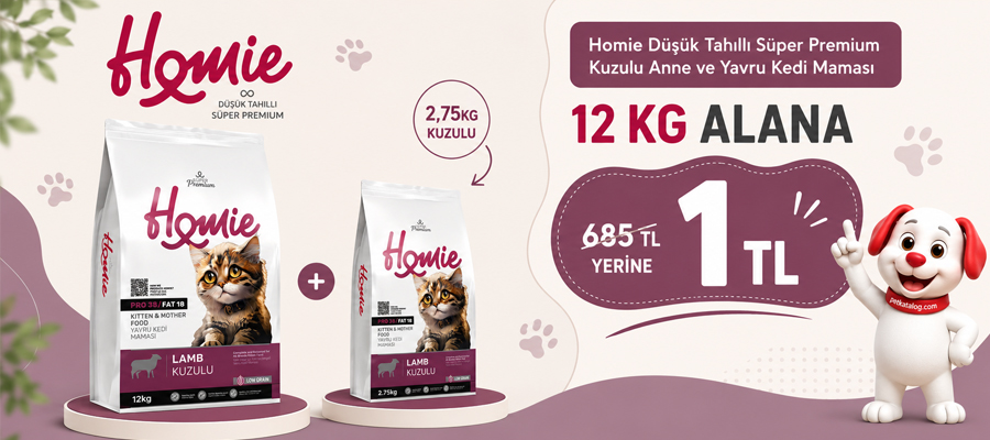 Homie 12KG Kuzulu Yavru Kedi Maması Alana 2,75KG Sadece 1 TL!