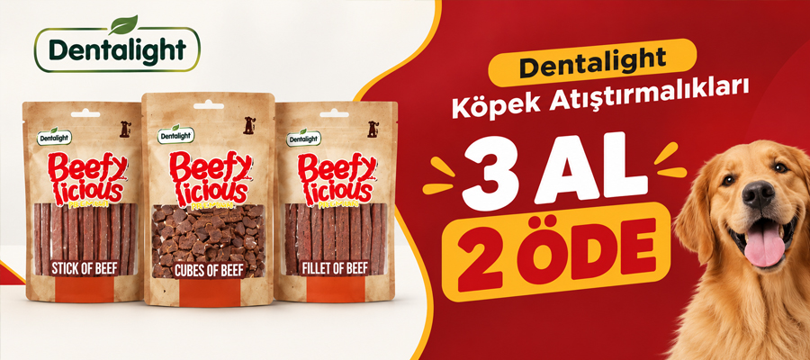 Dentalight Köpek Ödüllerinde 3 Al 2 Öde!