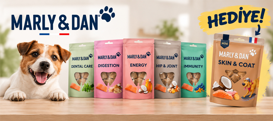 Marly & Dan Köpek Ödülleri 20gr Pocket Ödül Hediye!