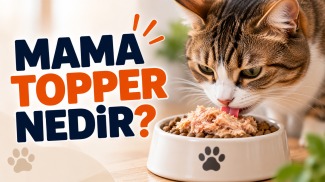 Mama topper nedir sorusunu açıklayan, kuru mamanın üzerine eklenen etli topper ile beslenen kedi