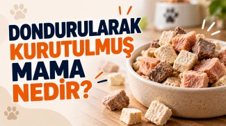Dondurularak kurutulmuş mama nedir sorusunu açıklayan, farklı içeriklerden hazırlanmış freeze dried mama parçalarını gösteren görsel