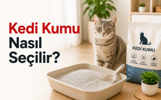 Kedi kumu nasıl seçilir sorusunu yanıtlayan ince taneli bentonit, silika ve bitkisel kedi kumunun yanında duran yetişkin kedi