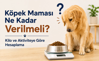 Köpek maması ne kadar verilmeli sorusunu açıklayan, mama kabındaki porsiyonu inceleyen köpek ve kilo ile aktiviteye göre beslenme rehberi