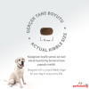 Felicia HypoAllergenic Kolajenli Az Tahıllı Kuzulu Küçük Irk Yetişkin Köpek Maması 3KG