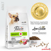 Felicia HypoAllergenic Kolajenli Az Tahıllı Kuzulu Küçük Irk Yetişkin Köpek Maması 3KG