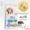 Felicia HypoAllergenic Kolajenli Az Tahıllı Somonlu Orta ve Büyük Irk Yetişkin Köpek Maması 15KG