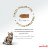 Felicia HypoAllergenic Kolajenli Somonlu Az Tahıllı Yetişkin Kedi Maması 2KG