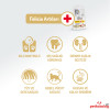 Felicia HypoAllergenic Kolajenli Tavuklu Az Tahıllı Kısırlaştırılmış Kedi Maması 12KG