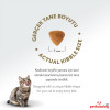 Felicia HypoAllergenic Kolajenli Tavuklu Az Tahıllı Kısırlaştırılmış Kedi Maması 12KG