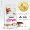 Felicia HypoAllergenic Kolajenli Tavuklu Az Tahıllı Yavru Kedi Maması 2KG