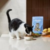 Gosbi Exclusive Düşük Tahıllı Tavuklu & Hindili Yetişkin Kedi Maması 1.5KG