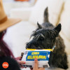 Play Pet 90lar - Video kaset Peluş Köpek Oyuncağı