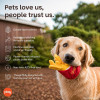 Play Pet Amerikan Klasik - Patates kızartması (Mini) Peluş Köpek Oyuncağı