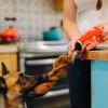 Play Pet Atıştırmalık - Kola içeceği (Mini) Peluş Köpek Oyuncağı