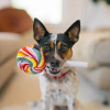 Play Pet Atıştırmalık - Lolipop (Mini) Peluş Köpek Oyuncağı