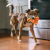 Play Pet Atıştırmalık - Pizza dilimi (Mini) Peluş Köpek Oyuncağı
