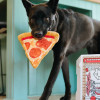 Play Pet Atıştırmalık - Pizza dilimi (Mini) Peluş Köpek Oyuncağı