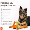 Play Pet Barmen - Moscow Mule Kokteyl Peluş Köpek Oyuncağı