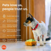 Play Pet Brunch - Avokado tost (Mini) Peluş Köpek Oyuncağı