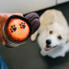 Play Pet Köpek cafe - Latte (Mini) Peluş Köpek Oyuncağı