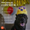 Play Pet Parti Zamanı - Taç Peluş Köpek Oyuncağı