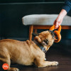 Play Pet Uluslararası Klasik - Bretzel Peluş Köpek Oyuncağı