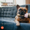 Play Pet Yavru köpek aşkı - Şampanya Peluş Köpek Oyuncağı
