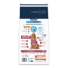 Advance Vitality Senior Medium +7 Tavuklu 12 Kg Orta Irk Yaşlı Köpek Maması