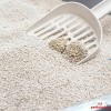 Biokat's Bianco Bahar Kokulu 6 LT İnce Taneli Topaklanan Bentonit Kedi Kumu