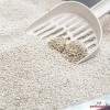 Biokat's Bianco Classic Kokusuz 6 LT İnce Taneli Topaklanan Bentonit Kedi Kumu