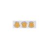 Caviara Tavuklu Mini ve Küçük Irk 2 Kg Yetişkin Köpek Maması