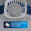 Ever Clean Extra Hygiene Fresh Scent 10 LT Ferah Kokulu İnce Taneli Topaklanan Bentonit Kedi Kumu