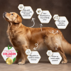 Felicia Digest Care 3 Kg Kolajen Destekli Hipoalerjenik Kuzulu Orta ve Büyük Irk Yetişkin Köpek Maması