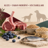 N&D Ancestral Grain Düşük Tahıllı Kuzulu ve Yaban Mersinli 12 Kg Orta ve Büyük Irk Yetişkin Köpek Maması