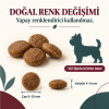 N&D Ancestral Grain غذای کم‌غلات سگ بالغ نژاد کوچک با بره و بلوبری 7 کیلوگرم