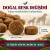 N&D Ancestral Grain Light Düşük Tahıllı Tavuklu ve Narlı 12 Kg Orta ve Büyük Irk Yetişkin Köpek Maması