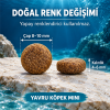 N&D Ocean Tahılsız Morina Balıklı, Balkabaklı ve Kavunlu 800 g Küçük Irk Yavru Köpek Maması